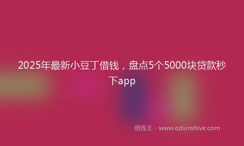 2025年最新小豆丁借钱，盘点5个5000块贷款秒下app