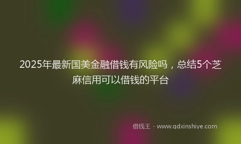 2025年最新国美金融借钱有风险吗，总结5个芝麻信用可以借钱的平台