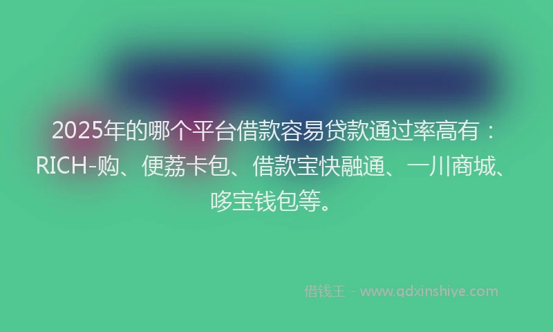 2025年的哪个平台借款容易贷款通过率高有：RICH-购、便荔卡包、借款宝快融通、一川商城、哆宝钱包等。