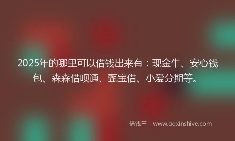 2025年的哪里可以借钱出来有：现金牛、安心钱包、森森借呗通、甄宝借、小爱分期等。