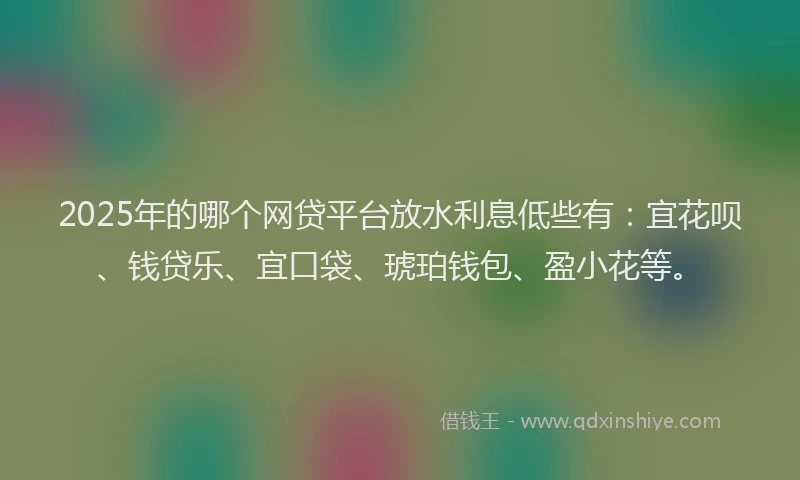 2025年的哪个网贷平台放水利息低些有：宜花呗、钱贷乐、宜口袋、琥珀钱包、盈小花等。