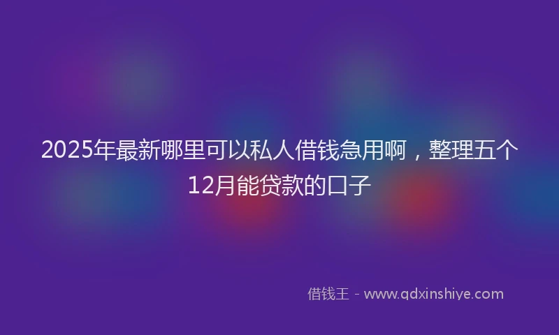 2025年最新哪里可以私人借钱急用啊，整理五个12月能贷款的口子
