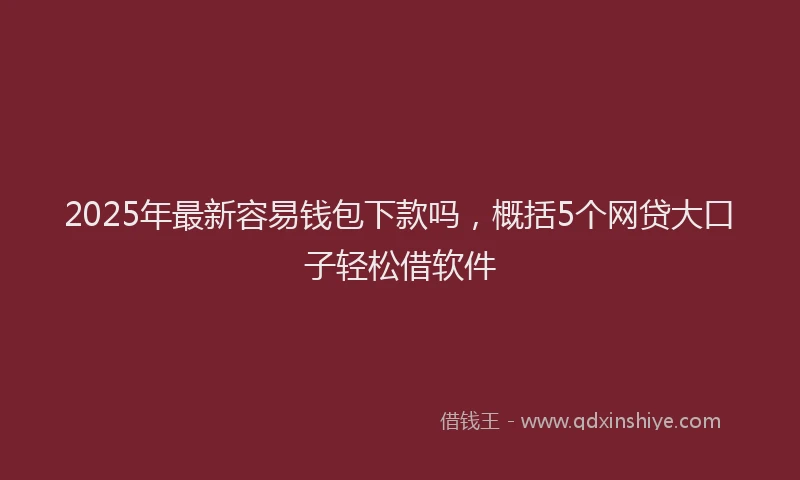 2025年最新容易钱包下款吗，概括5个网贷大口子轻松借软件