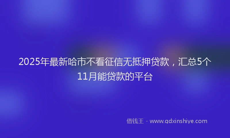 2025年最新哈市不看征信无抵押贷款，汇总5个11月能贷款的平台