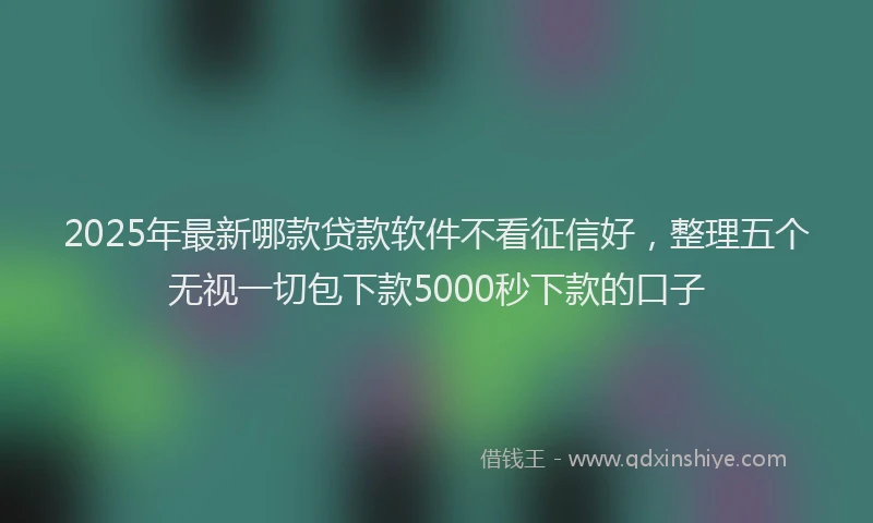 2025年最新哪款贷款软件不看征信好，整理五个无视一切包下款5000秒下款的口子