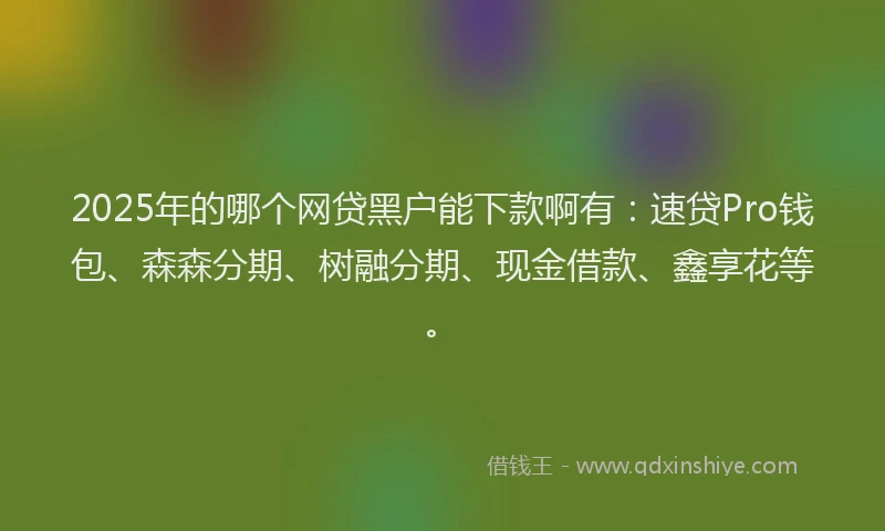 2025年的哪个网贷黑户能下款啊有：速贷Pro钱包、森森分期、树融分期、现金借款、鑫享花等。