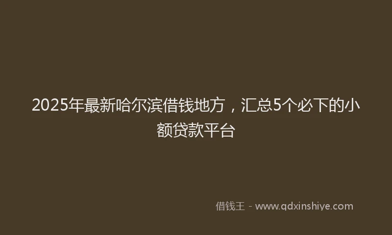 2025年最新哈尔滨借钱地方，汇总5个必下的小额贷款平台