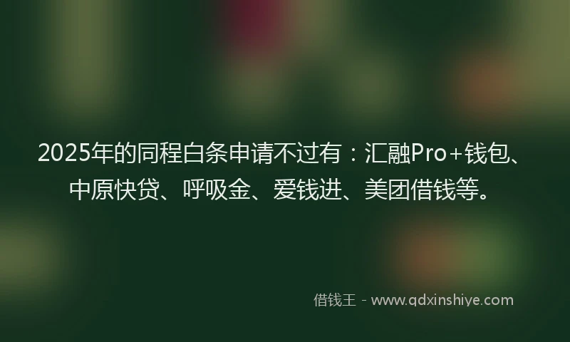 2025年的同程白条申请不过有：汇融Pro+钱包、中原快贷、呼吸金、爱钱进、美团借钱等。