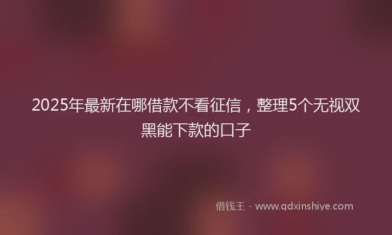 2025年最新在哪借款不看征信，整理5个无视双黑能下款的口子