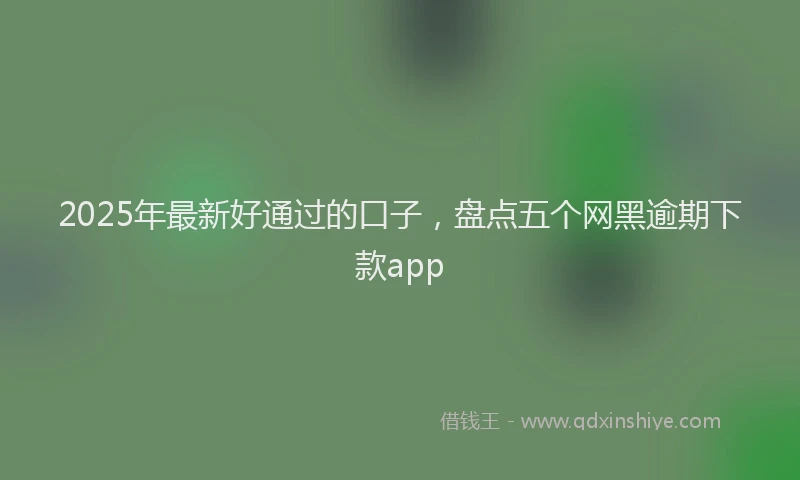 2025年最新好通过的口子，盘点五个网黑逾期下款app
