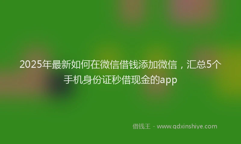 2025年最新如何在微信借钱添加微信，汇总5个手机身份证秒借现金的app