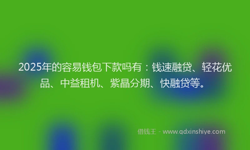 2025年的容易钱包下款吗有：钱速融贷、轻花优品、中益租机、紫晶分期、快融贷等。