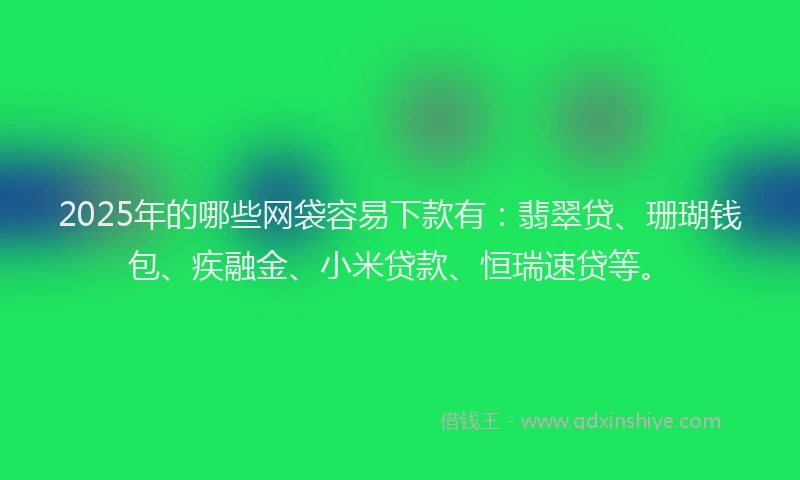 2025年的哪些网袋容易下款有：翡翠贷、珊瑚钱包、疾融金、小米贷款、恒瑞速贷等。