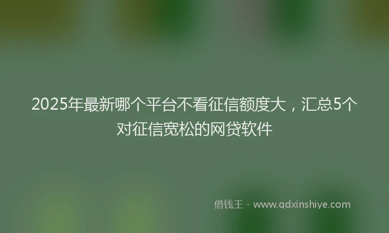 2025年最新哪个平台不看征信额度大，汇总5个对征信宽松的网贷软件