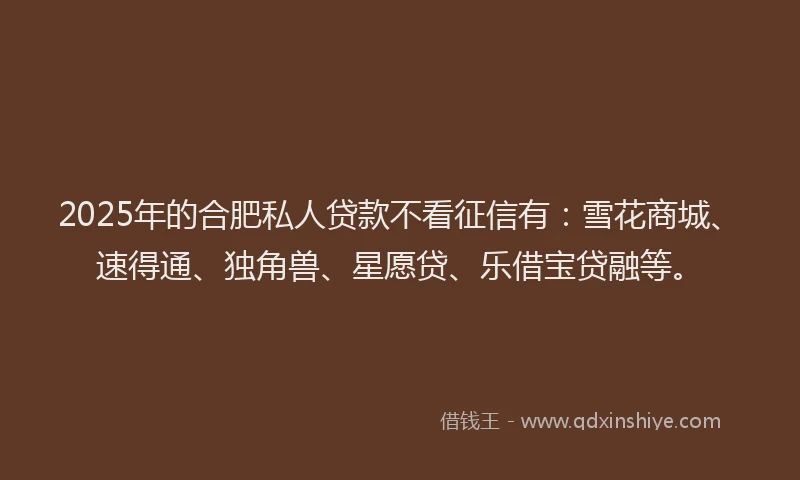 2025年的合肥私人贷款不看征信有：雪花商城、速得通、独角兽、星愿贷、乐借宝贷融等。