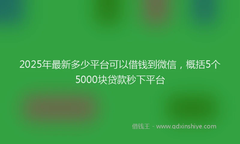 2025年最新多少平台可以借钱到微信，概括5个5000块贷款秒下平台