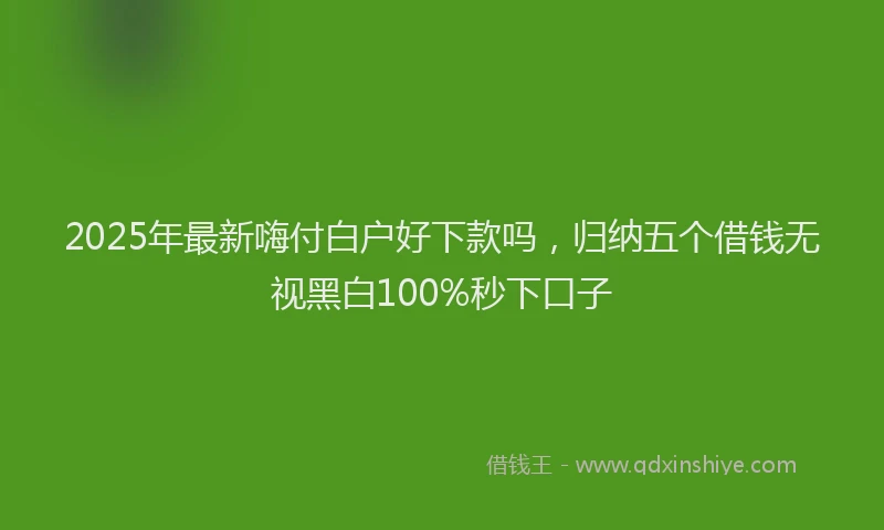 2025年最新嗨付白户好下款吗，归纳五个借钱无视黑白100%秒下口子