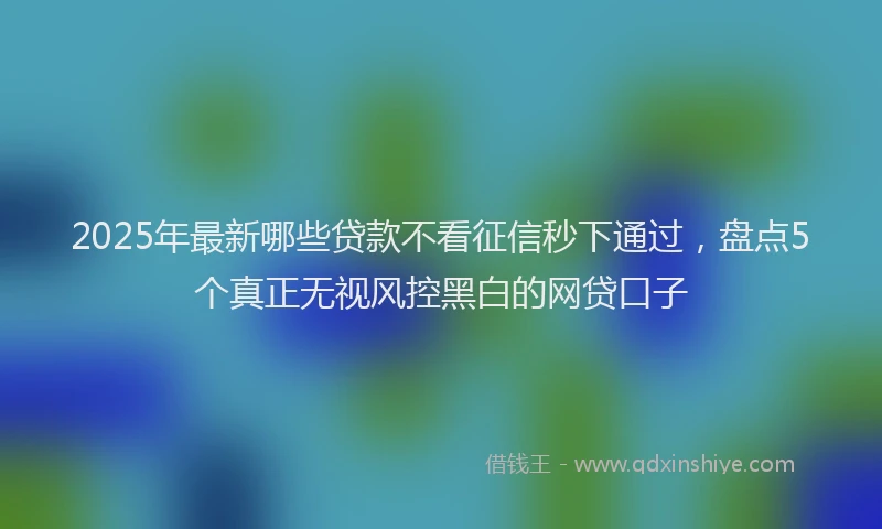 2025年最新哪些贷款不看征信秒下通过，盘点5个真正无视风控黑白的网贷口子