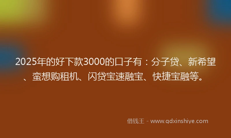 2025年的好下款3000的口子有：分子贷、新希望、蛮想购租机、闪贷宝速融宝、快捷宝融等。