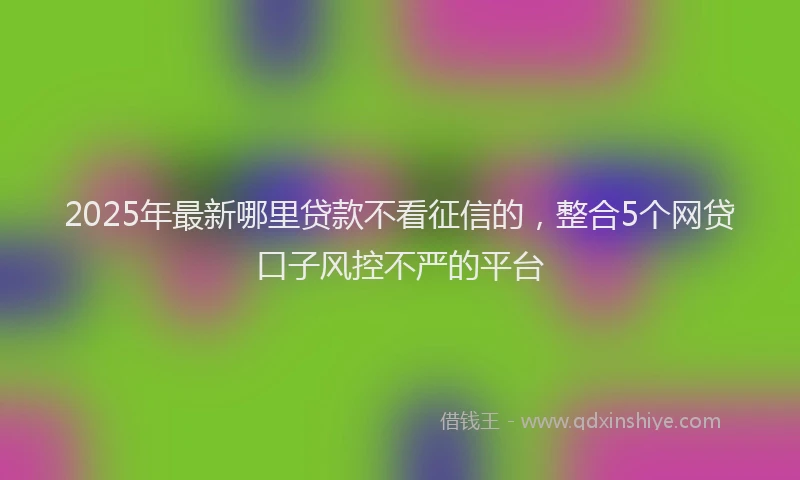 2025年最新哪里贷款不看征信的，整合5个网贷口子风控不严的平台