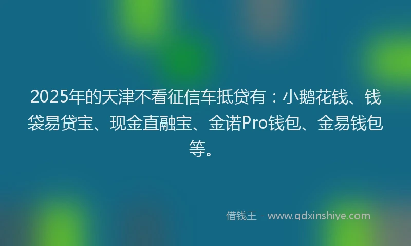 2025年的天津不看征信车抵贷有：小鹅花钱、钱袋易贷宝、现金直融宝、金诺Pro钱包、金易钱包等。
