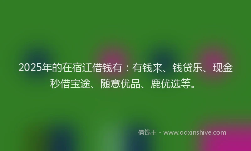 2025年的在宿迁借钱有：有钱来、钱贷乐、现金秒借宝途、随意优品、鹿优选等。