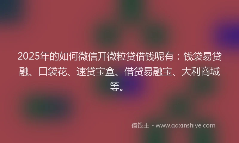 2025年的如何微信开微粒贷借钱呢有：钱袋易贷融、口袋花、速贷宝盒、借贷易融宝、大利商城等。