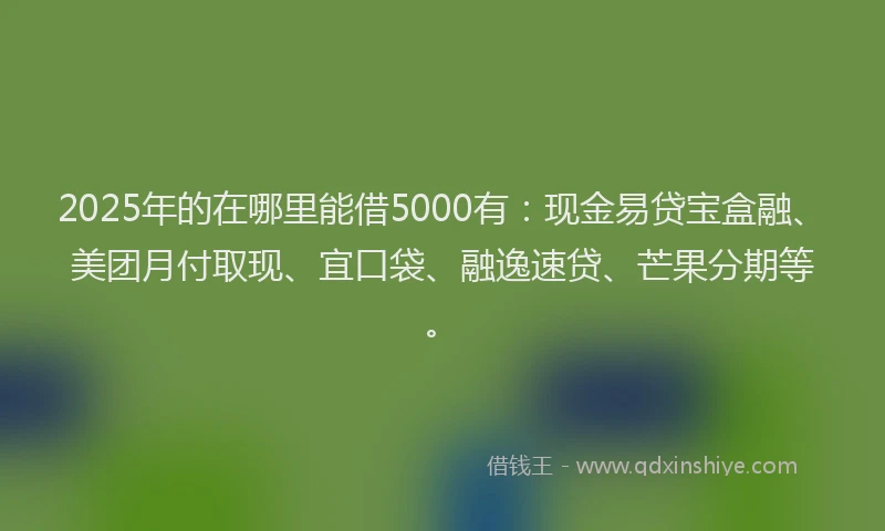 2025年的在哪里能借5000有：现金易贷宝盒融、美团月付取现、宜口袋、融逸速贷、芒果分期等。