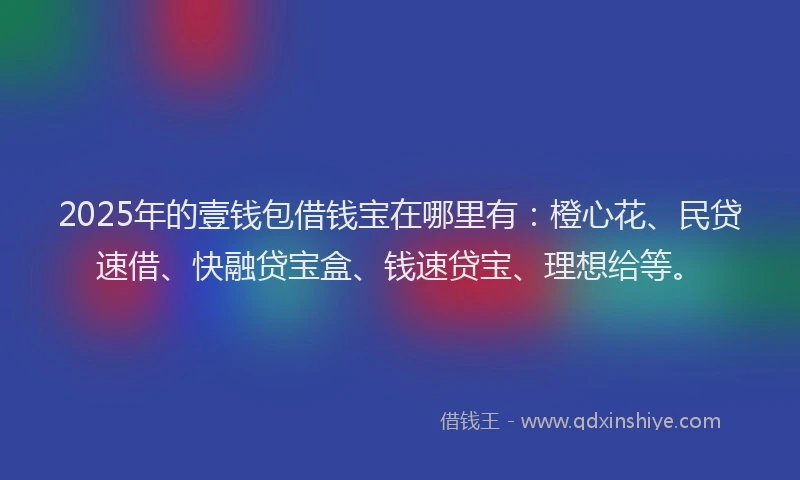 2025年的壹钱包借钱宝在哪里有：橙心花、民贷速借、快融贷宝盒、钱速贷宝、理想给等。