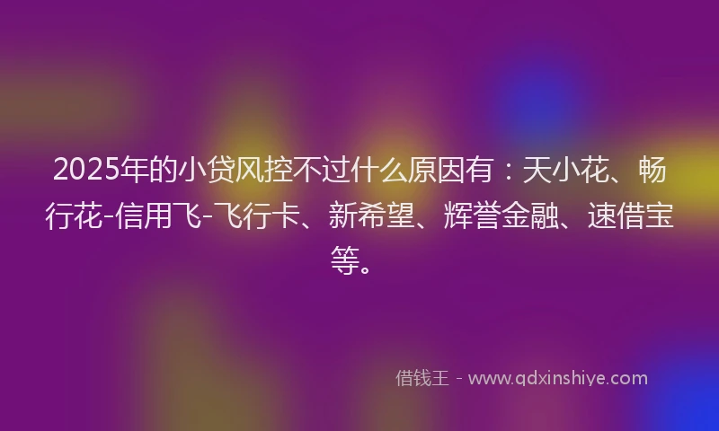 2025年的小贷风控不过什么原因有：天小花、畅行花-信用飞-飞行卡、新希望、辉誉金融、速借宝等。