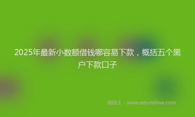 2025年最新小数额借钱哪容易下款，概括五个黑户下款口子