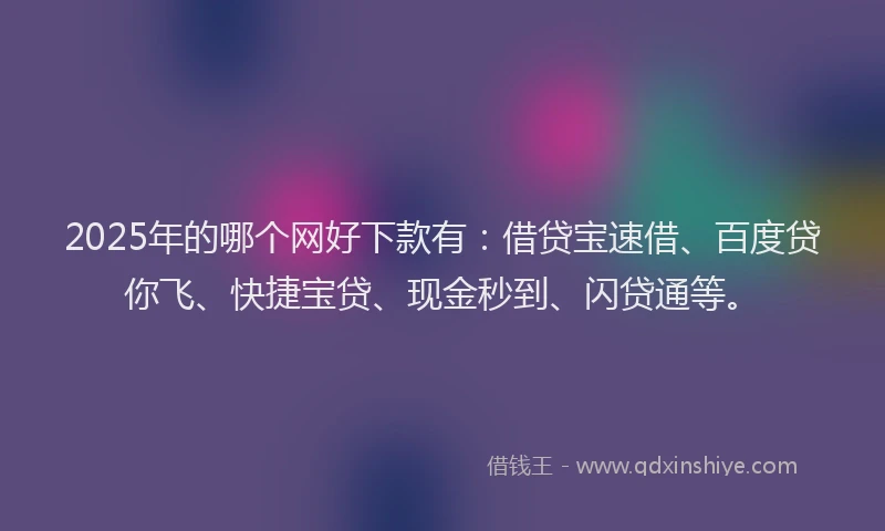 2025年的哪个网好下款有：借贷宝速借、百度贷你飞、快捷宝贷、现金秒到、闪贷通等。