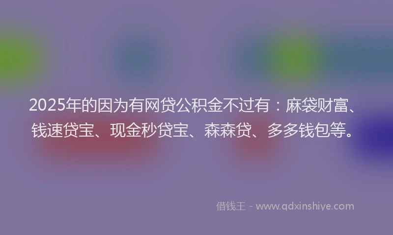 2025年的因为有网贷公积金不过有：麻袋财富、钱速贷宝、现金秒贷宝、森森贷、多多钱包等。