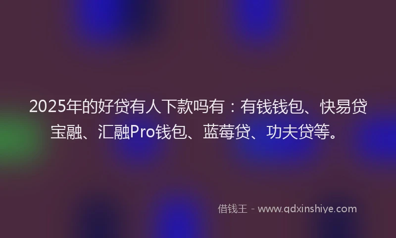 2025年的好贷有人下款吗有：有钱钱包、快易贷宝融、汇融Pro钱包、蓝莓贷、功夫贷等。