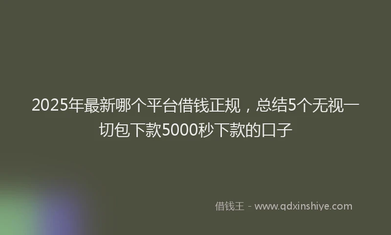 2025年最新哪个平台借钱正规，总结5个无视一切包下款5000秒下款的口子