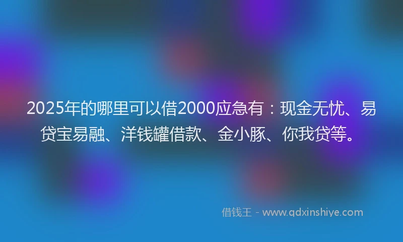 2025年的哪里可以借2000应急有：现金无忧、易贷宝易融、洋钱罐借款、金小豚、你我贷等。