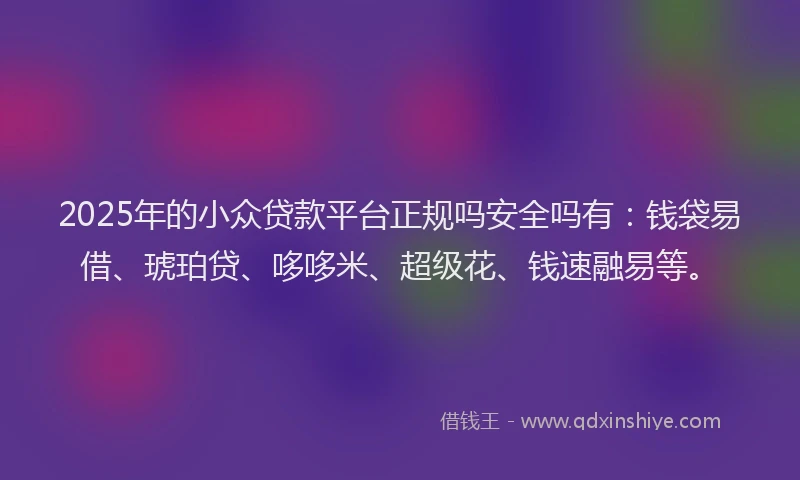 2025年的小众贷款平台正规吗安全吗有：钱袋易借、琥珀贷、哆哆米、超级花、钱速融易等。