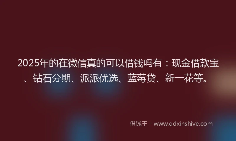 2025年的在微信真的可以借钱吗有：现金借款宝、钻石分期、派派优选、蓝莓贷、新一花等。