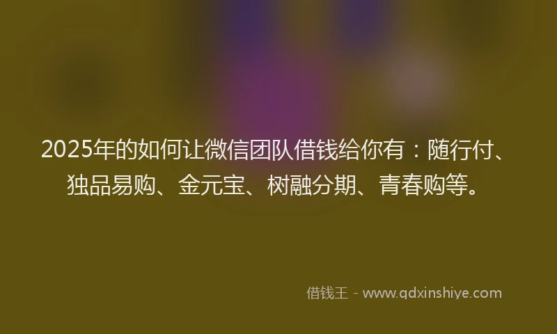2025年的如何让微信团队借钱给你有：随行付、独品易购、金元宝、树融分期、青春购等。