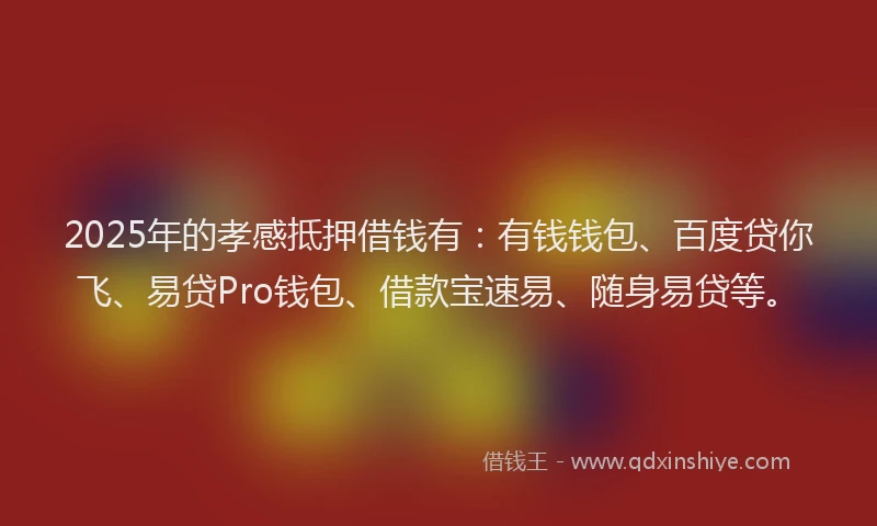 2025年的孝感抵押借钱有：有钱钱包、百度贷你飞、易贷Pro钱包、借款宝速易、随身易贷等。
