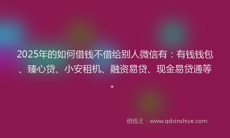 2025年的如何借钱不借给别人微信有：有钱钱包、臻心贷、小安租机、融资易贷、现金易贷通等。