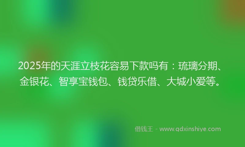 2025年的天涯立枝花容易下款吗有：琉璃分期、金银花、智享宝钱包、钱贷乐借、大城小爱等。