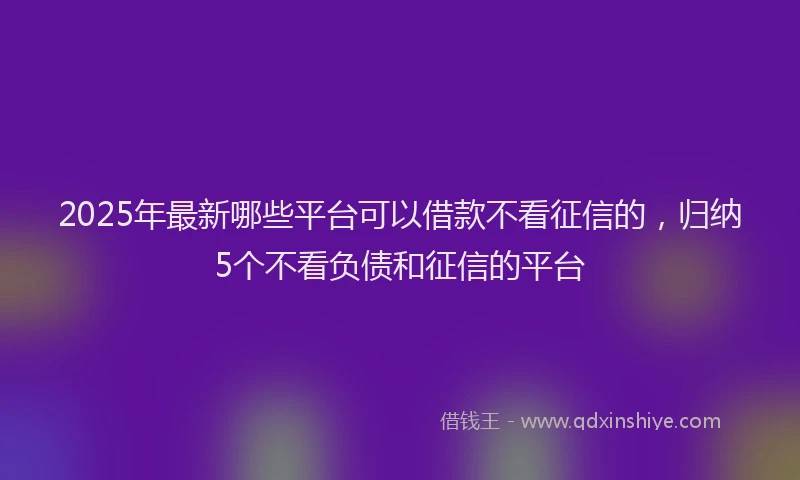 2025年最新哪些平台可以借款不看征信的，归纳5个不看负债和征信的平台