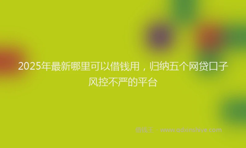 2025年最新哪里可以借钱用，归纳五个网贷口子风控不严的平台