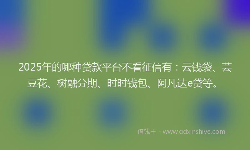 2025年的哪种贷款平台不看征信有：云钱袋、芸豆花、树融分期、时时钱包、阿凡达e贷等。
