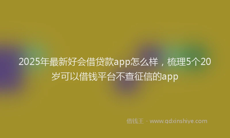 2025年最新好会借贷款app怎么样，梳理5个20岁可以借钱平台不查征信的app