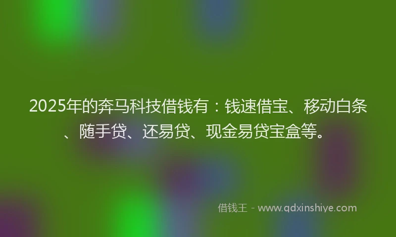 2025年的奔马科技借钱有：钱速借宝、移动白条、随手贷、还易贷、现金易贷宝盒等。