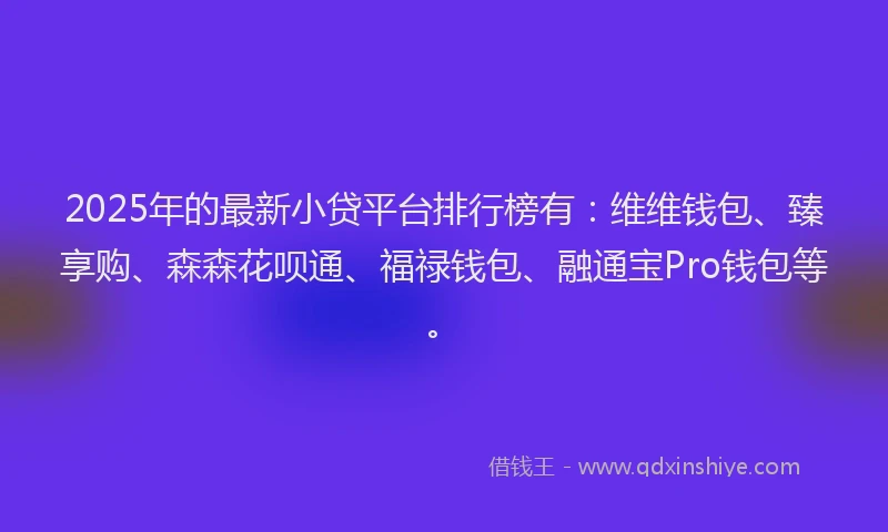 2025年的最新小贷平台排行榜有：维维钱包、臻享购、森森花呗通、福禄钱包、融通宝Pro钱包等。