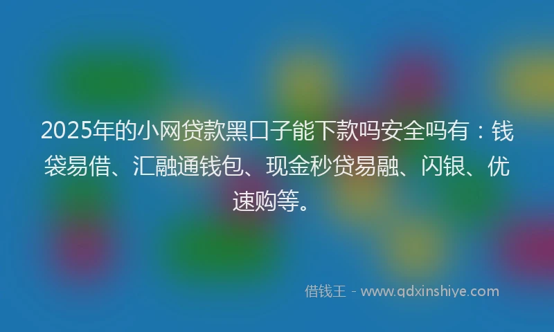2025年的小网贷款黑口子能下款吗安全吗有：钱袋易借、汇融通钱包、现金秒贷易融、闪银、优速购等。
