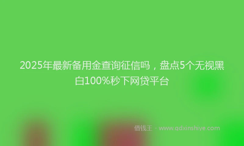 2025年最新备用金查询征信吗，盘点5个无视黑白100%秒下网贷平台
